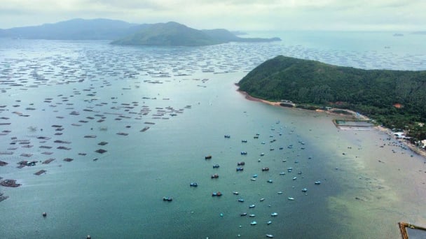 Nâng cao ý thức bảo vệ môi trường vùng nuôi trồng thủy sản: [Bài 1]  Áp dụng kiến thức tập huấn vào thực tiễn
