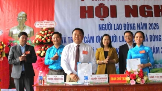 Công ty Cà phê 715A chú trọng đầu tư vườn cây