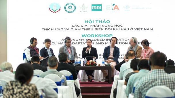 Sáng kiến Xuất sắc trong Nông học: Đổi mới kỹ thuật canh tác lúa vùng ĐBSCL