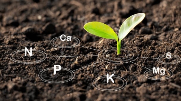 Vietnam strives to lead the region in soil health management