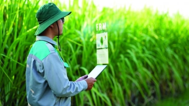 AgriS supports private sector development and high-tech agriculture