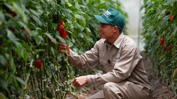 Responsible agrifood systems to advance Vietnam NDC 3.0 goals