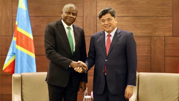Vietnam is ready to support Congo in modernizing agricultural production