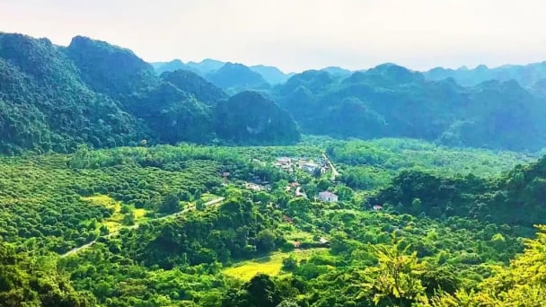 Domestic trading of forest carbon credits paves the way for private sector