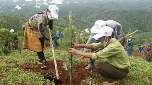 Conserving Ta Dung forest with community engagement