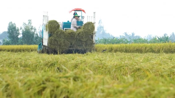 2025 Agriculture Forum: Sustainable development solutions