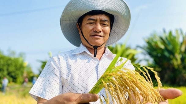 Vietnam to develop a national strategy for low-emission crop production