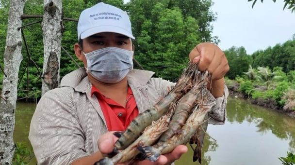 Ca Mau promotes smart, green, and sustainable agriculture with Glorin technology