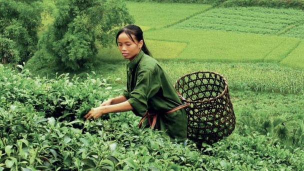 From USD 400,000 to the expected transformation of circular economy