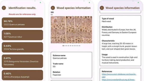 Vn‑WoodID: A breakthrough tool for wood identification and supply chain transparency