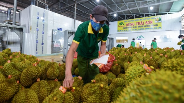 Vietnam's AFF exports reach nearly $40 bln in the first 7 months of 2025
