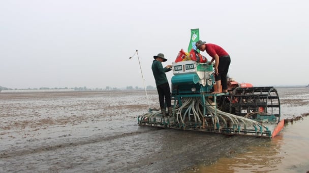 Vietnam’s rice sector gets a boost from four smart fertilizer tools