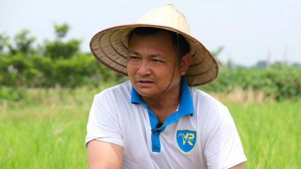 Leasing 1,000 hectares, Vietnamese agronomist supports Cuba’s food-secured future