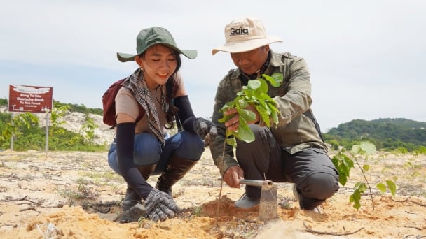 Sowing green, building shields against natural disasters