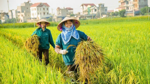 Đầu tư cho phụ nữ nông thôn vì một Việt Nam kiên cường