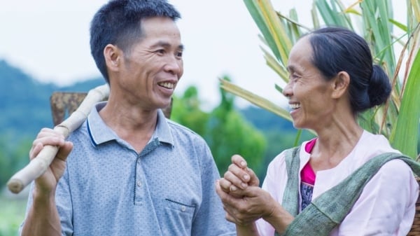 Các tổ chức CGIAR: Báo chí và vai trò truyền tải khoa học vào thực tiễn