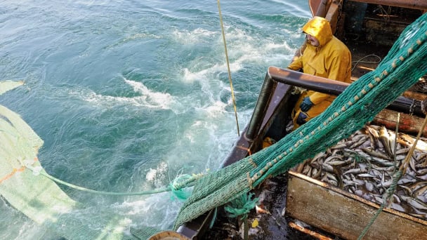 Thay đổi tư duy khai thác tài nguyên biển