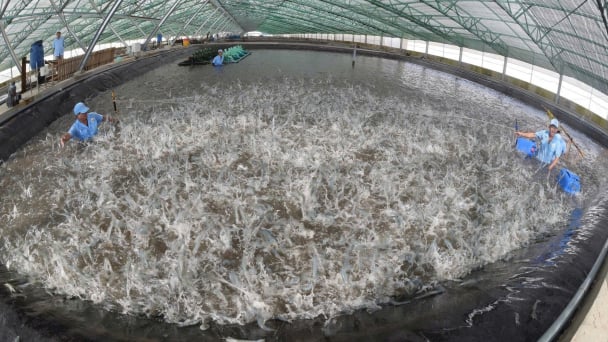 Fisheries sector aims to achieve technological self-reliance, especially in strategic technologies