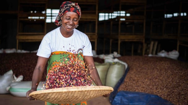 Responsible food consumption: Perspectives from CIAT's global findings