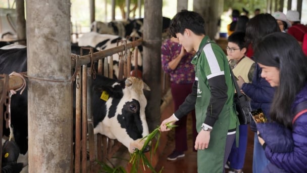 How policies can open doors for agroecology in Vietnam