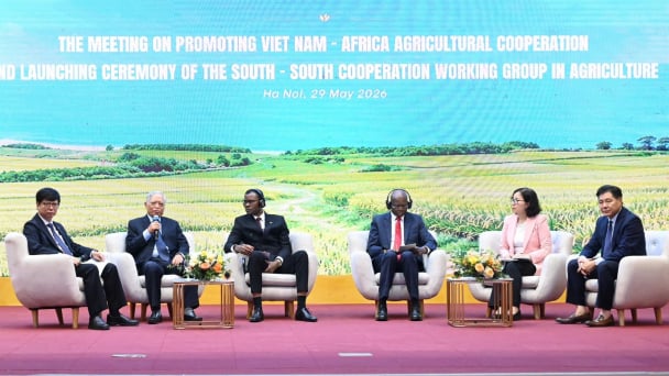Việt Nam - châu Phi tìm điểm giao chiến lược trong nông nghiệp