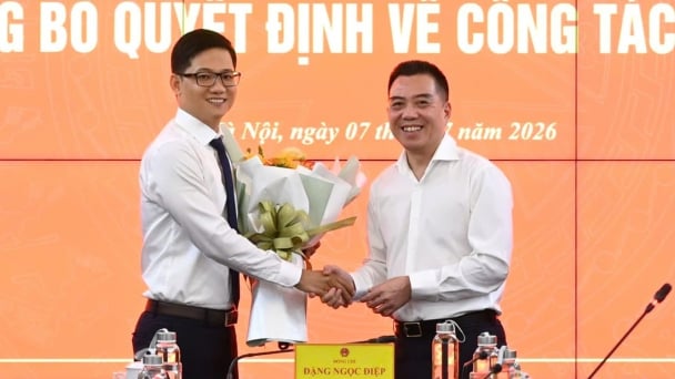 Bổ nhiệm Phó Vụ trưởng Vụ Hợp tác quốc tế Vũ Việt Hà