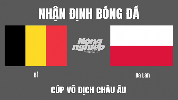 Nhận định Bỉ vs Ba Lan giải Vô địch Châu Âu lúc 1h45 ngày 9/6