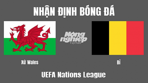 Nhận định Xứ Wales vs Bỉ giải Vô địch Châu Âu ngày 12/6