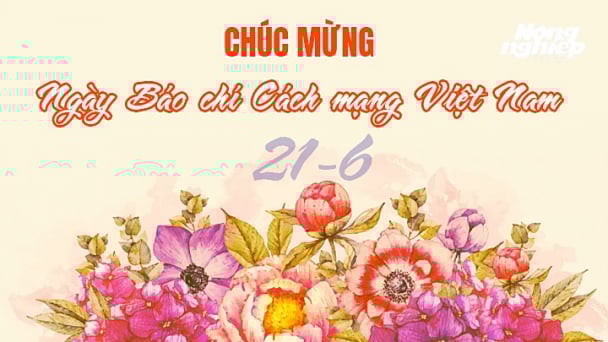 Lời chúc Ngày Báo chí Cách mạng Việt Nam 21/6 hay và ý nghĩa