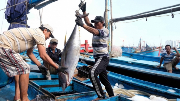 Cần hỗ trợ bà con ngư dân trong bối cảnh giá xăng, dầu tăng phi mã