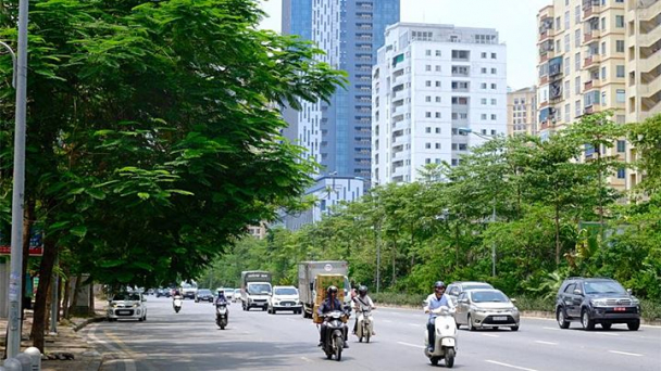 Dự báo thời tiết hôm nay 12/8/2023 mưa hay nắng?