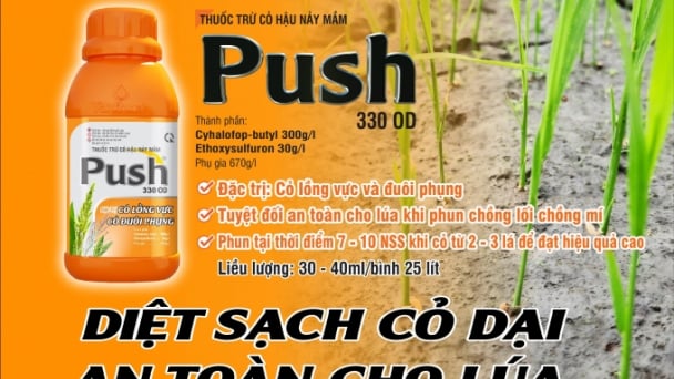Push 330OD - Chặng đường 10 năm đồng hành, tri ân nông dân