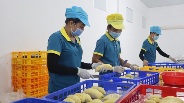 Bình Phước chuẩn bị 1.500 ha sầu riêng để xuất khẩu đi Trung Quốc