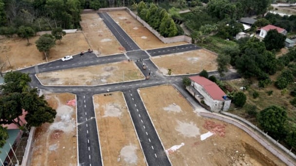 Hà Nội: Thanh tra, kiểm tra toàn diện đất có nguồn gốc từ nông, lâm trường