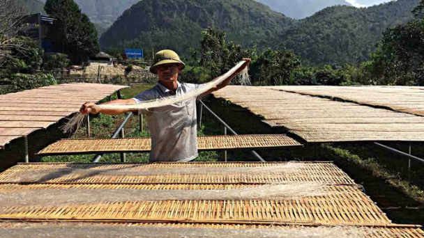 Miến dong Bình Lư được bảo đảm chất lượng, xuất xứ