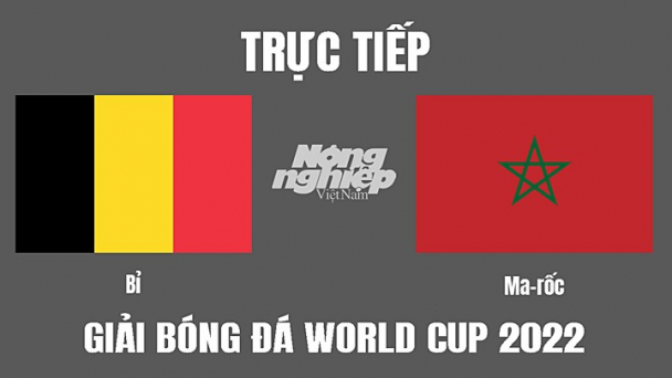 Trực tiếp Bỉ vs Morocco trên VTV2, VTV Cần Thơ hôm nay 27/11
