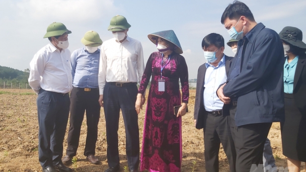 Khu lâm nghiệp công nghệ cao là bệ phóng, giống lâm nghiệp là trái tim