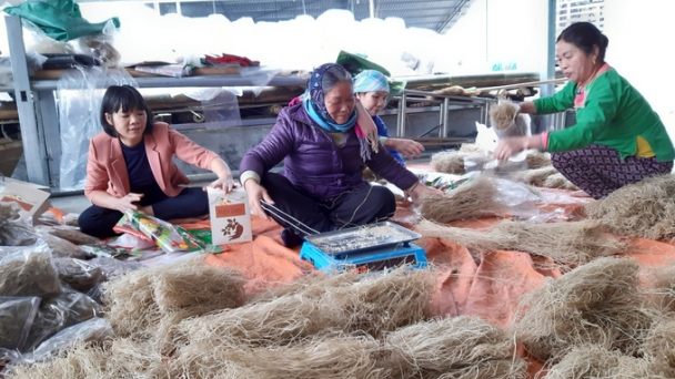 Phát triển nông nghiệp hàng hóa để xây dựng nông thôn mới