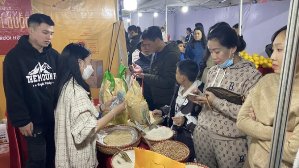 Sản phẩm OCOP áp đảo tại Tuần lễ giao lưu văn hóa, ẩm thực Hải Phòng