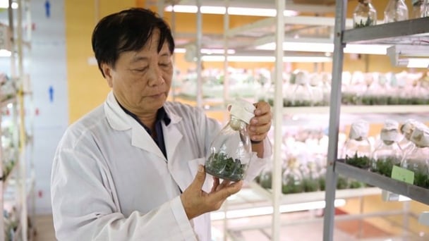 GS.TS. Nhà giáo Nhân dân Nguyễn Quang Thạch qua đời