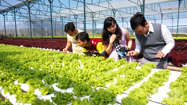 Nông dân muốn có lãi cần bắt tay với doanh nghiệp