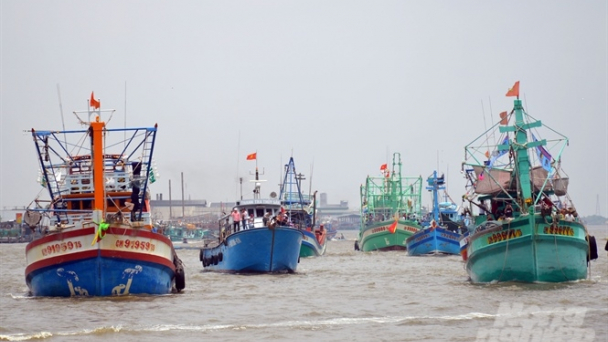 Cà Mau: Hạn chế giao thông thủy trong lễ hội Nghinh Ông Sông Đốc