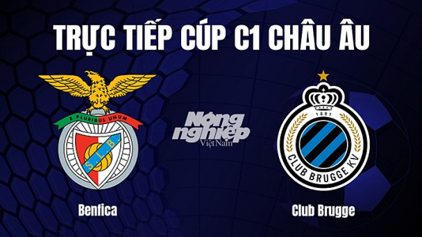 Trực tiếp Benfica vs Club Brugge trên FPTPlay giải Cúp C1 Châu Âu hôm nay 8/3