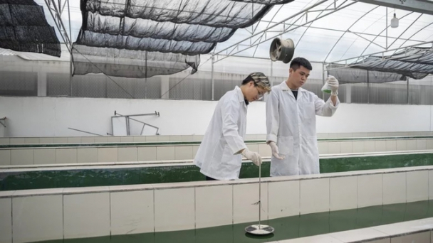 Thúc đẩy sự gắn kết giữa nghiên cứu khoa học và ngành Nông nghiệp