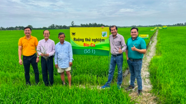 Bio-Ca, chế phẩm tăng pH đất nâng cao hiệu quả canh tác lúa vùng đất phèn