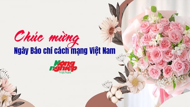 Nguồn gốc, ý nghĩa ngày Báo chí Cách mạng Việt Nam 21/6