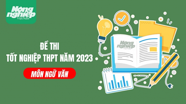 Đề thi Ngữ văn tốt nghiệp THPT Quốc gia năm 2023 [chính thức]