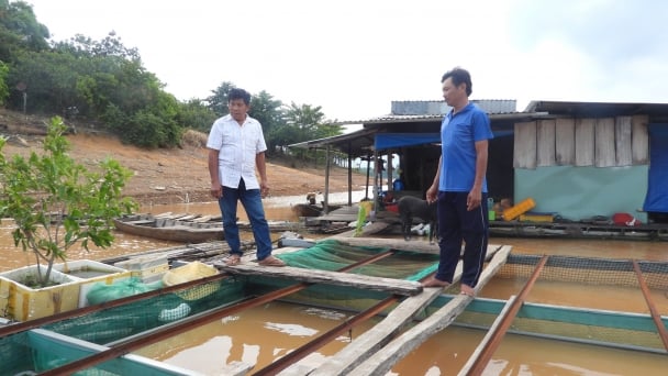 Thức dậy thủy sản Bình Phước [Bài 5]: Độc đáo tổ nghề cá cộng đồng
