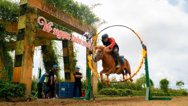 Du khách trầm trồ trước các màn trình diễn ngựa nhảy vòng lửa, vượt chướng ngại vật ở Sa Pa