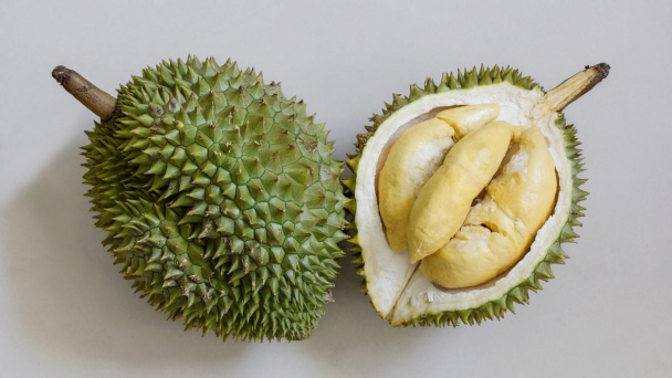 Sầu riêng Trung Quốc vào vụ thu hoạch, giá hơn 16 USD/kg